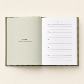 Planbooks - One line a day journal