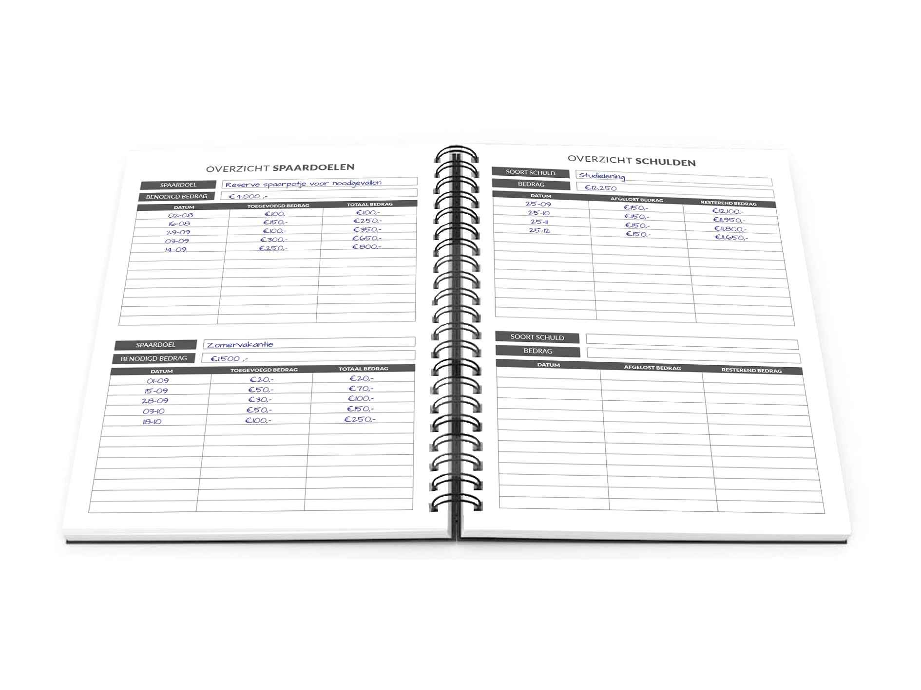 Budgetplanner, Duits, spaarboek, voor A6-budgetbinder, beginner, budgetorganizer, spaarmap, financiële planner, spaarboek, huishoudboek met geldvakken (blauw Budgetplanner, Duits, spaarboek, voor A6-budgetbinder, beginner, budgetorganizer, spaarmap, financiële planner, spaarboek, huishoudboek met geldvakken (blauw